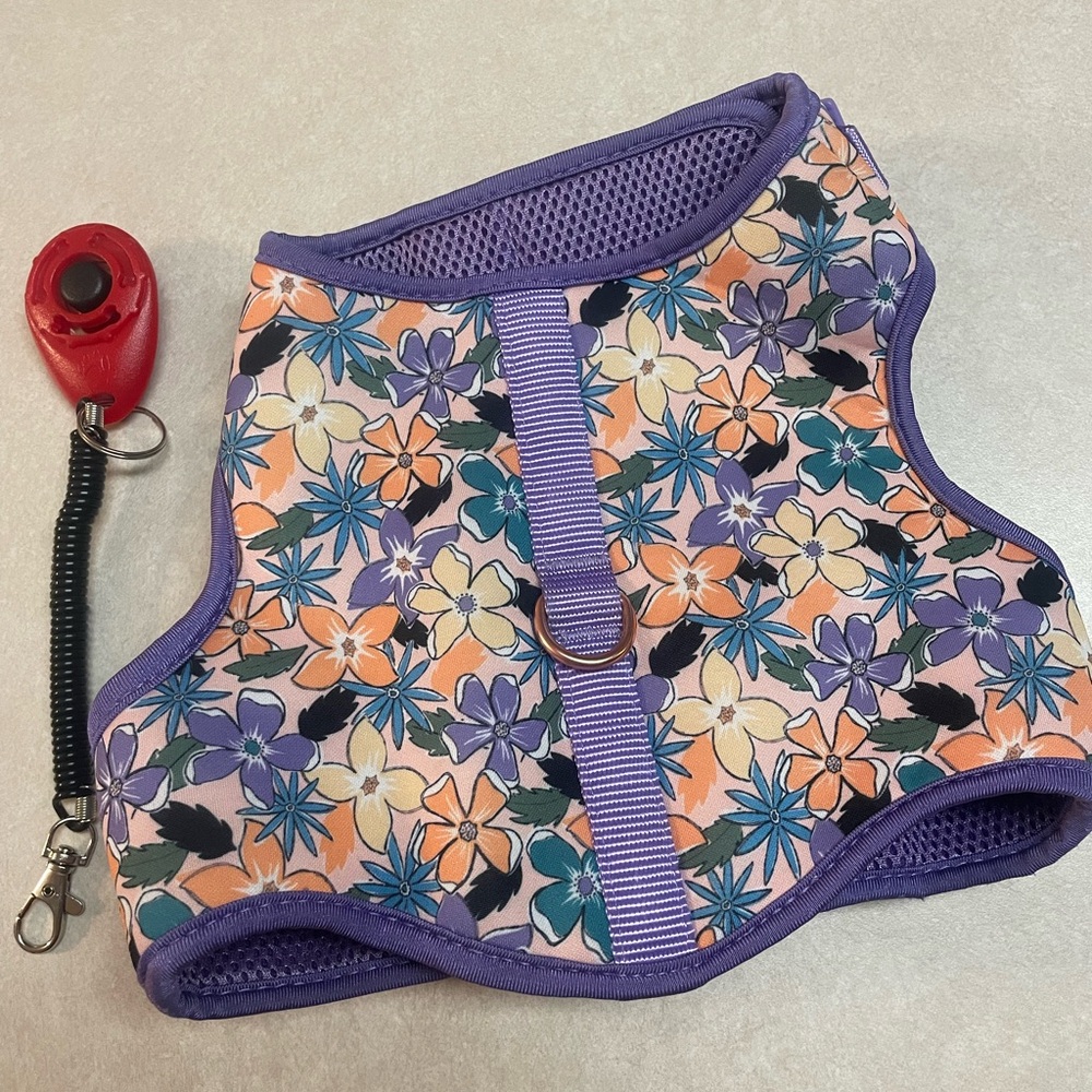 Dog harness